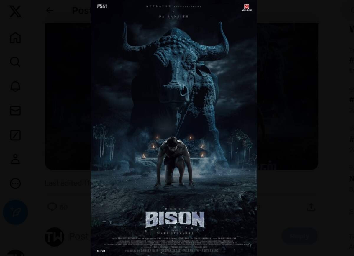 Bison