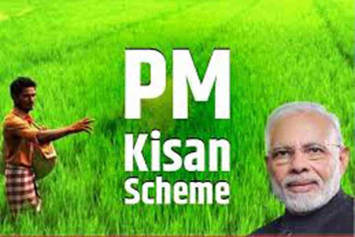 pm kisan, pm kisan 19th installment date, pm kisan samman nidhi, pm kisan status, pm kisan yojana, pm kisan 19th installment date 2025, पीएम किसान, kisan samman nidhi, pm, किसान, pm kisan samman nidhi yojana, प्रधानमंत्री किसान सम्मान निधि,