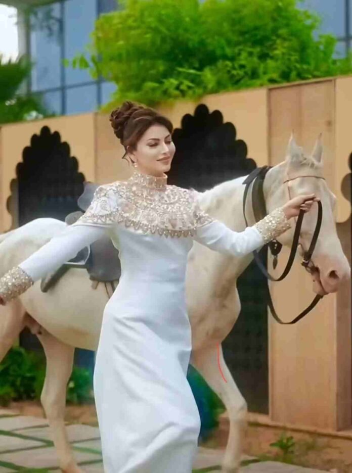 Watch: Urvashi Rautela's whopping 16 lakhs luxury-made custom diamond atelier by Dina Melwani sets the internet on fire, see breathtaking video!