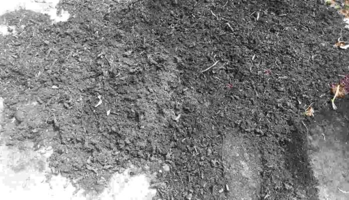 water hyacinth reuse, Birbhum Institute of Rural Development Foundation, BIRD West Bengal, waste to wealth initiative, biochar from water hyacinth, handmade paper from aquatic weeds, rural sustainability India, green livelihoods Bengal