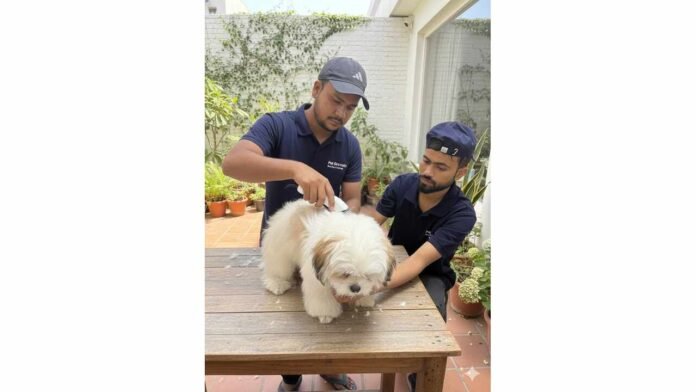 Pet Groomly Helps Mumbai’s Working Couples Manage Pet Care with At-Home Grooming Services