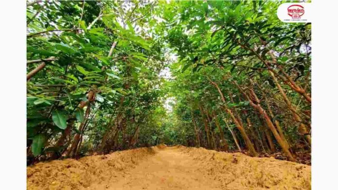 Merino Continues to Lead With Its Renewable Manufacturing Model on Sustainable Energy Days 2026