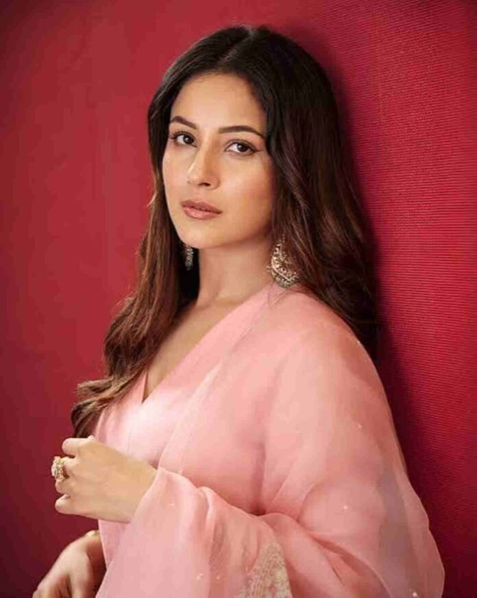 Shehnaaz Gill Thanks Fans for the Overwhelming Love for Ishqnama and Nasima
